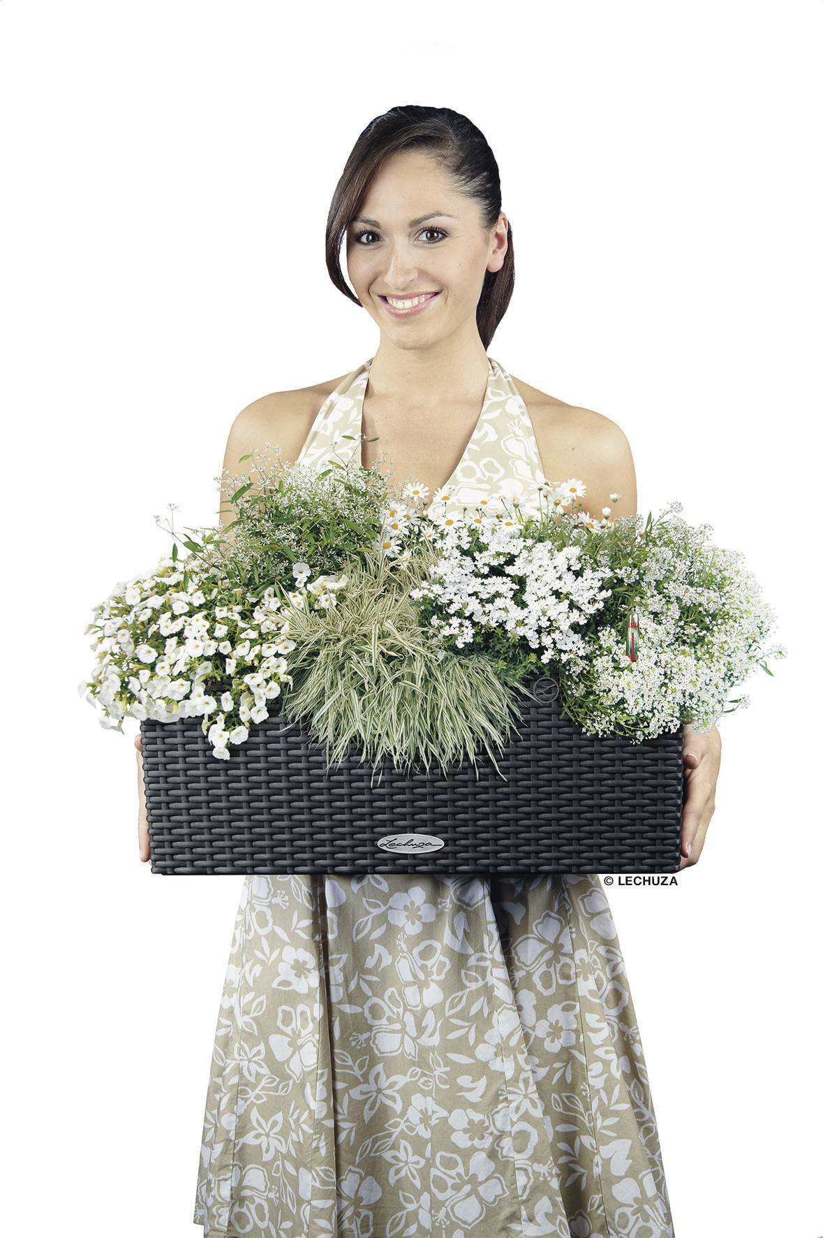 Lechuza BALCONERA Cottage 50 15602 Balkonkasten Granit