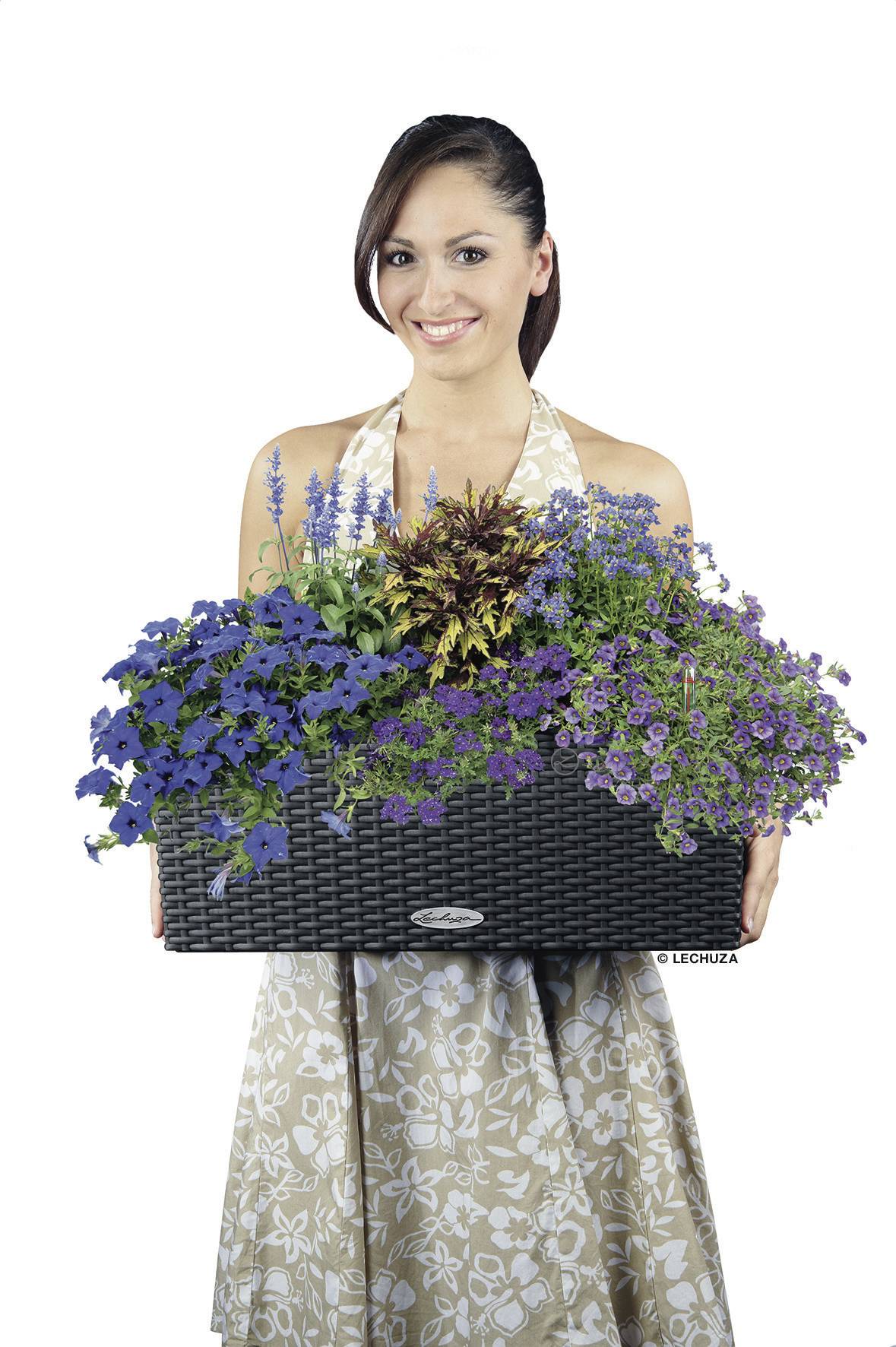 Lechuza BALCONERA Cottage 50 15602 Balkonkasten Granit