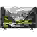 Panasonic TX-43LSW504 LCD-TV 109.2cm 43 Zoll EEK F (A - G) Smart TV, WLAN, CI+, Full HD Schwarz