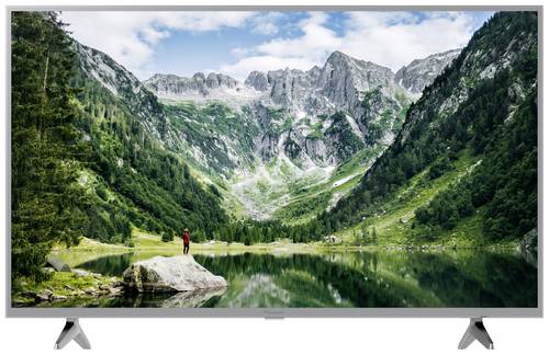 Panasonic TX-43LSW504S LCD-TV 109.2cm 43 Zoll EEK F (A - G) Full HD, Smart TV, WLAN, CI+ Silber