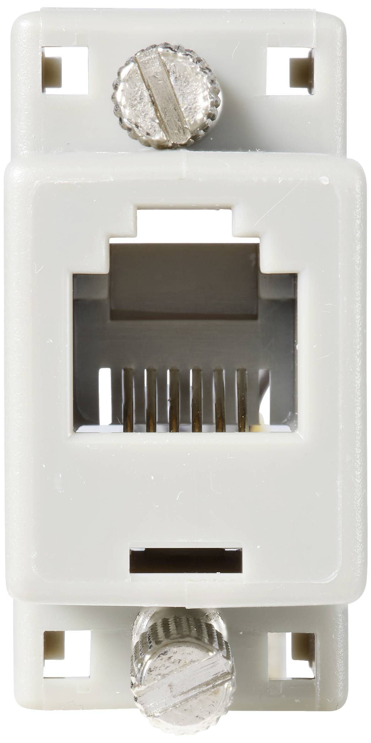 Ein einzelner RJ45-Netzwerkstecker, weiß, mit zwei Schrauben zur Befestigung. Oben und unten sichtbar sind metallische Kontakte.