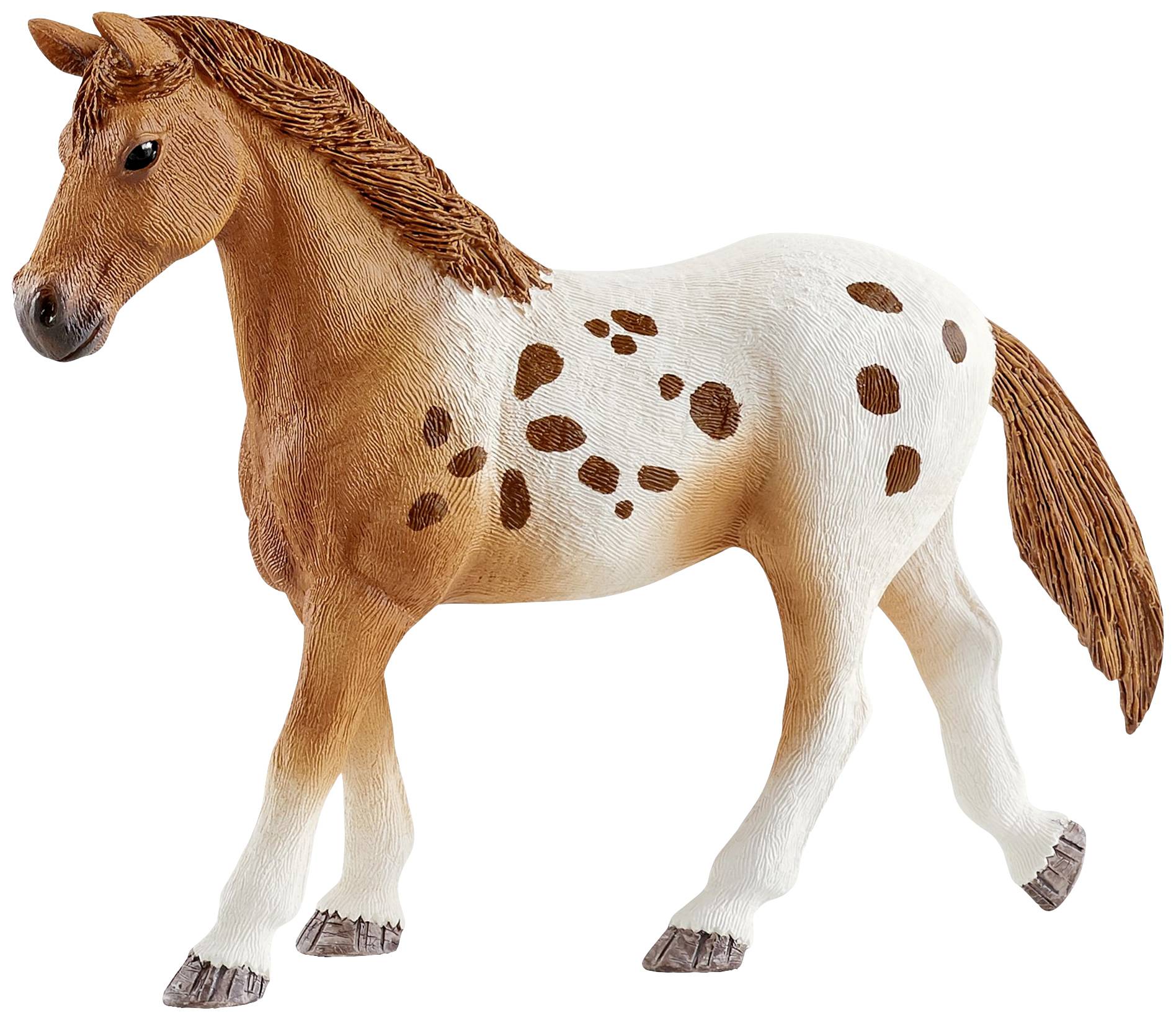 Schleich Horse Club 42433 Set Turnier-Training und Pferde Appaloosas