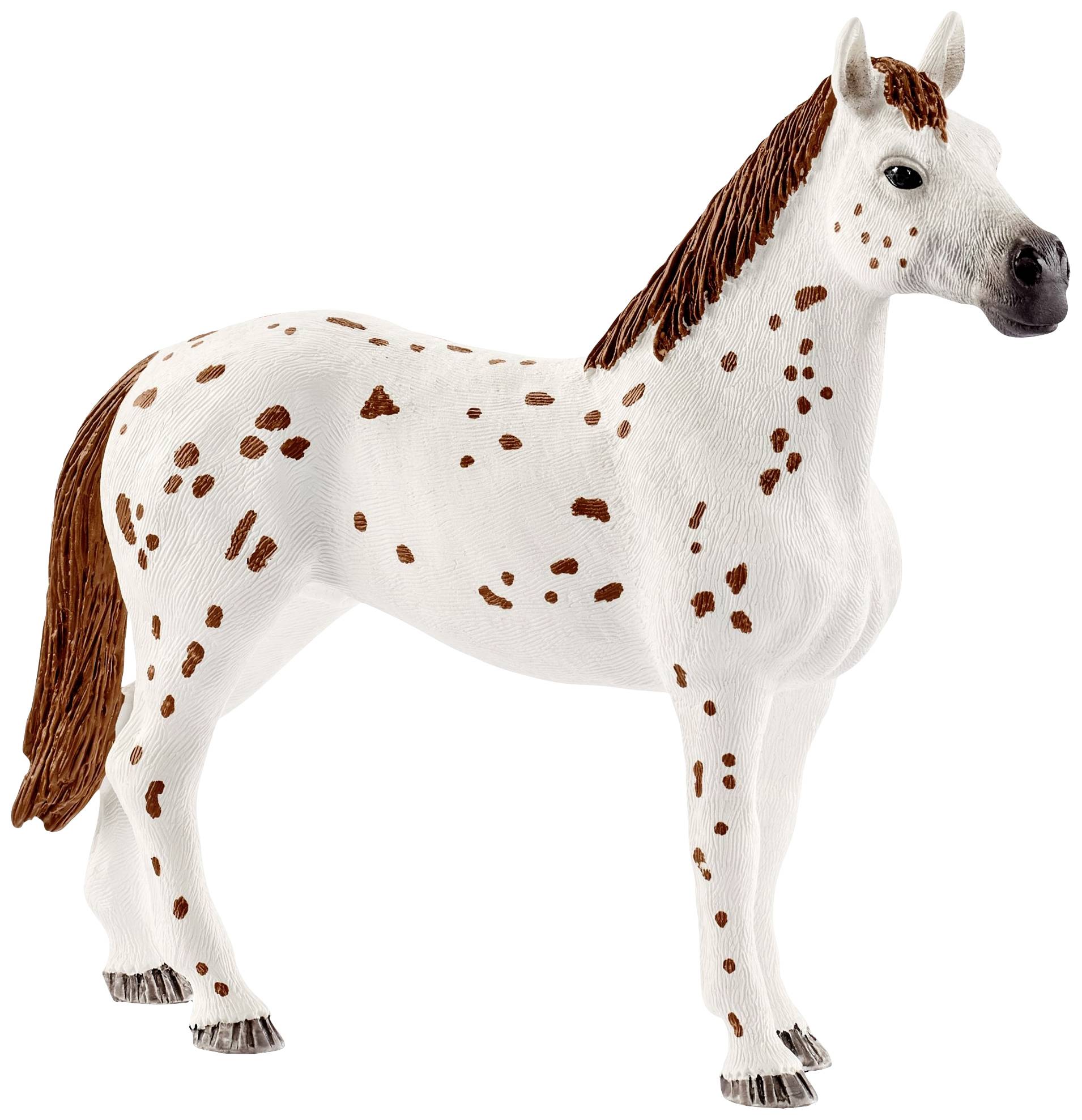 Schleich Horse Club 42433 Set Turnier-Training und Pferde Appaloosas