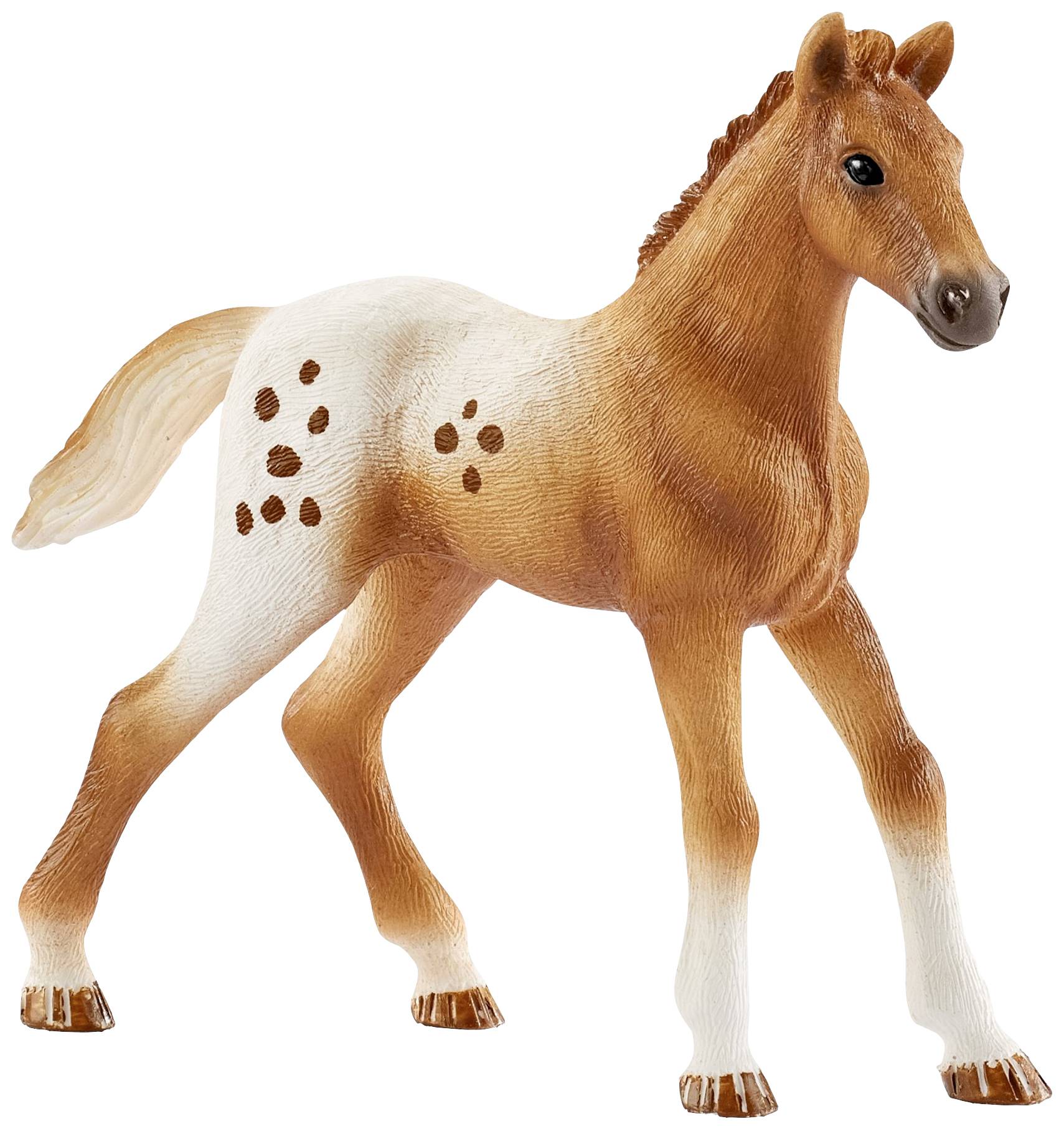 Schleich Horse Club 42433 Set Turnier-Training und Pferde Appaloosas