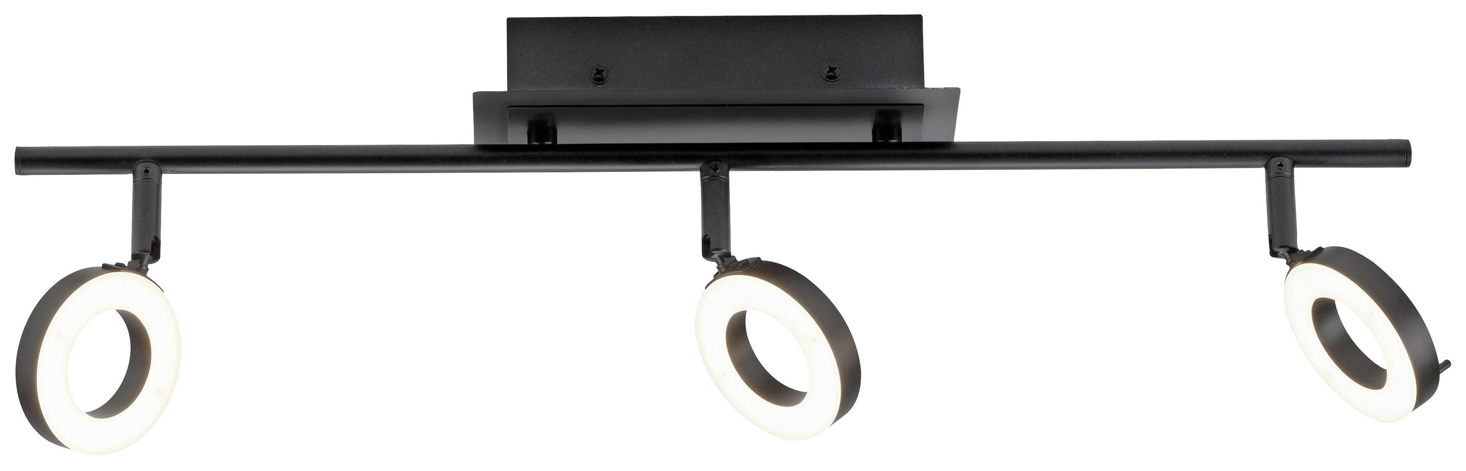 Paul Neuhaus 6785-13 LED-Deckenleuchte LED 19.2W Anthrazit