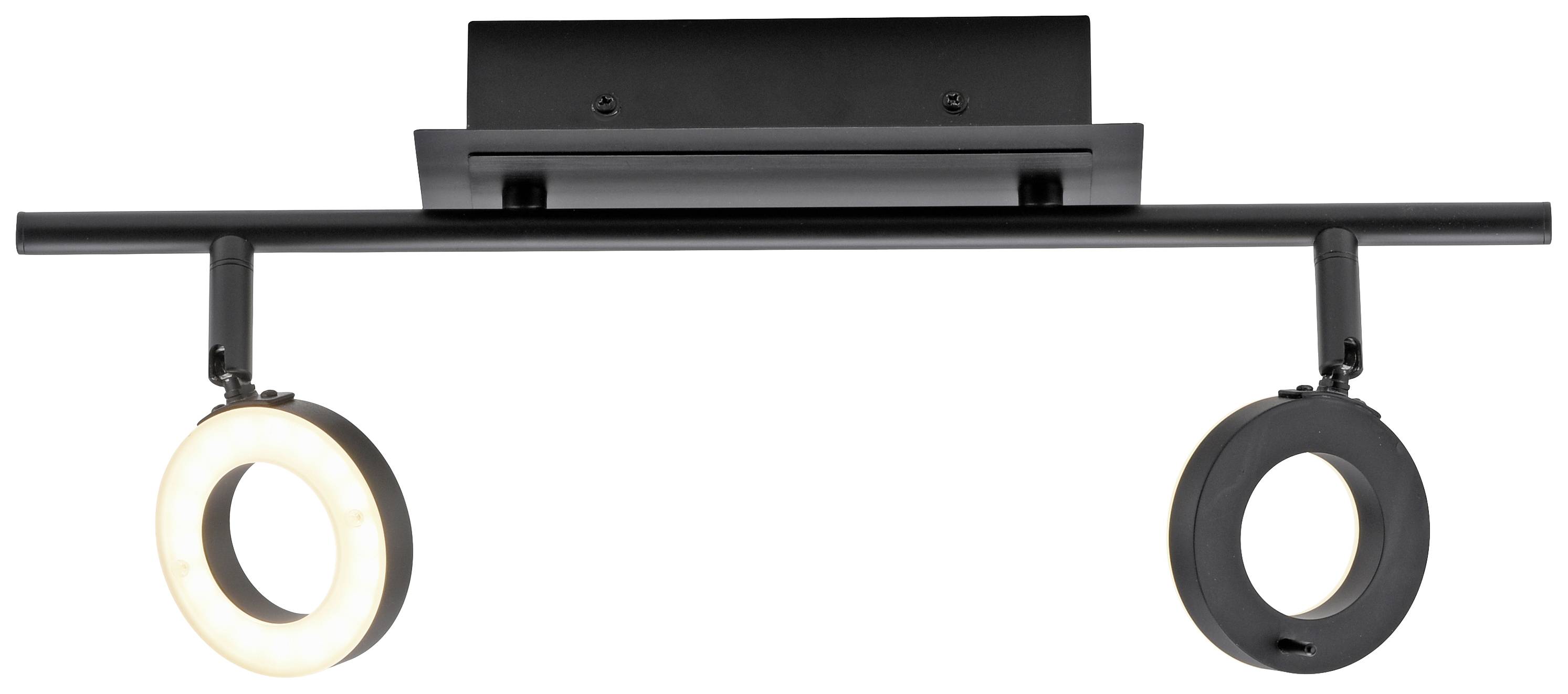 Paul Neuhaus 6781-13 LED-Deckenleuchte LED 12.8W Anthrazit