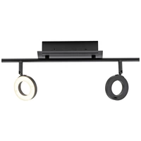Paul Neuhaus 6781-13 LED-Deckenleuchte LED 12.8W Anthrazit Paul Neuhaus 6781-13 LED-Deckenleuchte LED 12.8W Anthrazit