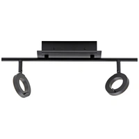 Paul Neuhaus 6781-13 LED-Deckenleuchte LED 12.8W Anthrazit Paul Neuhaus 6781-13 LED-Deckenleuchte LED 12.8W Anthrazit