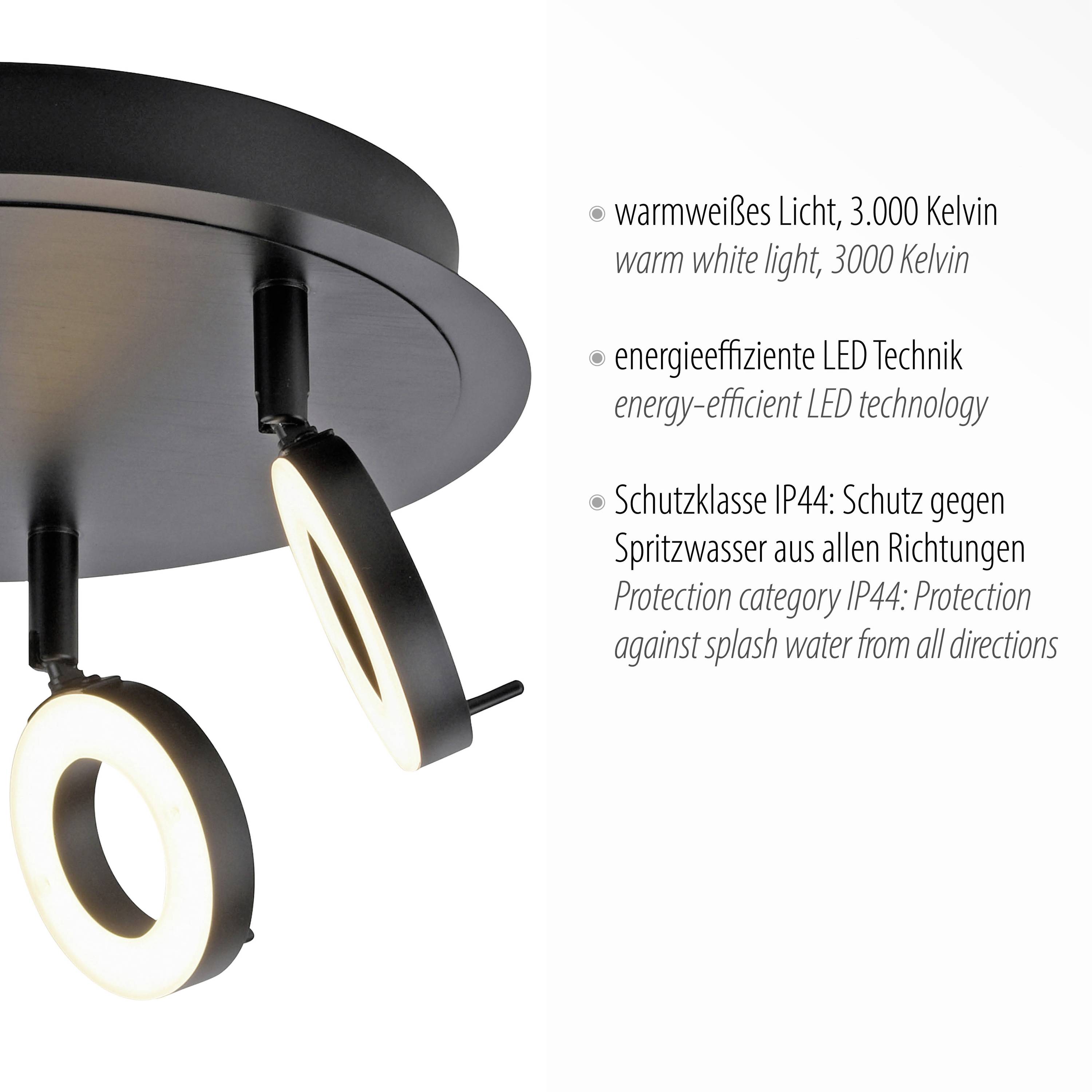 Paul Neuhaus 6788-13 LED-Deckenleuchte LED 19.2W Anthrazit