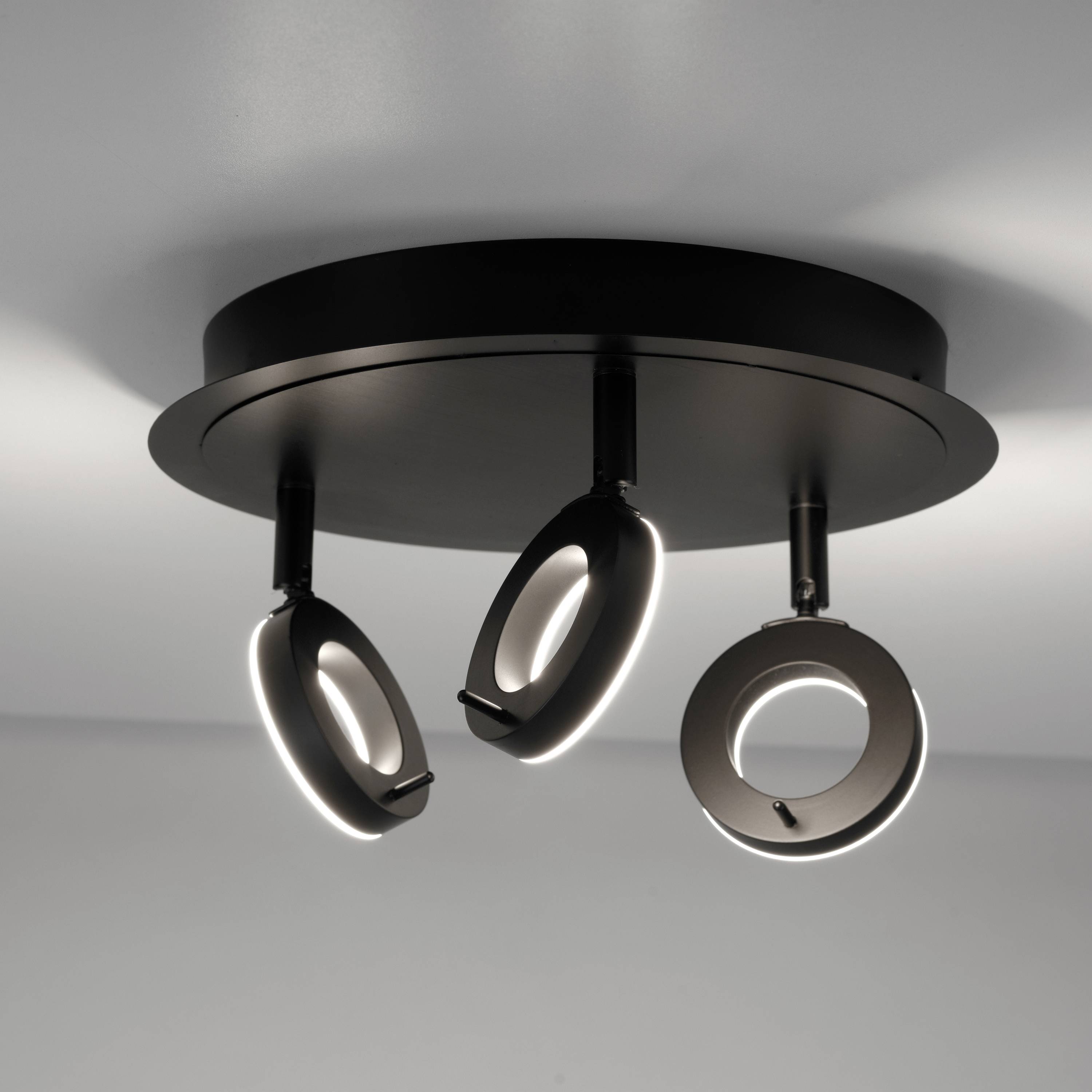 Paul Neuhaus 6788-13 LED-Deckenleuchte LED 19.2W Anthrazit