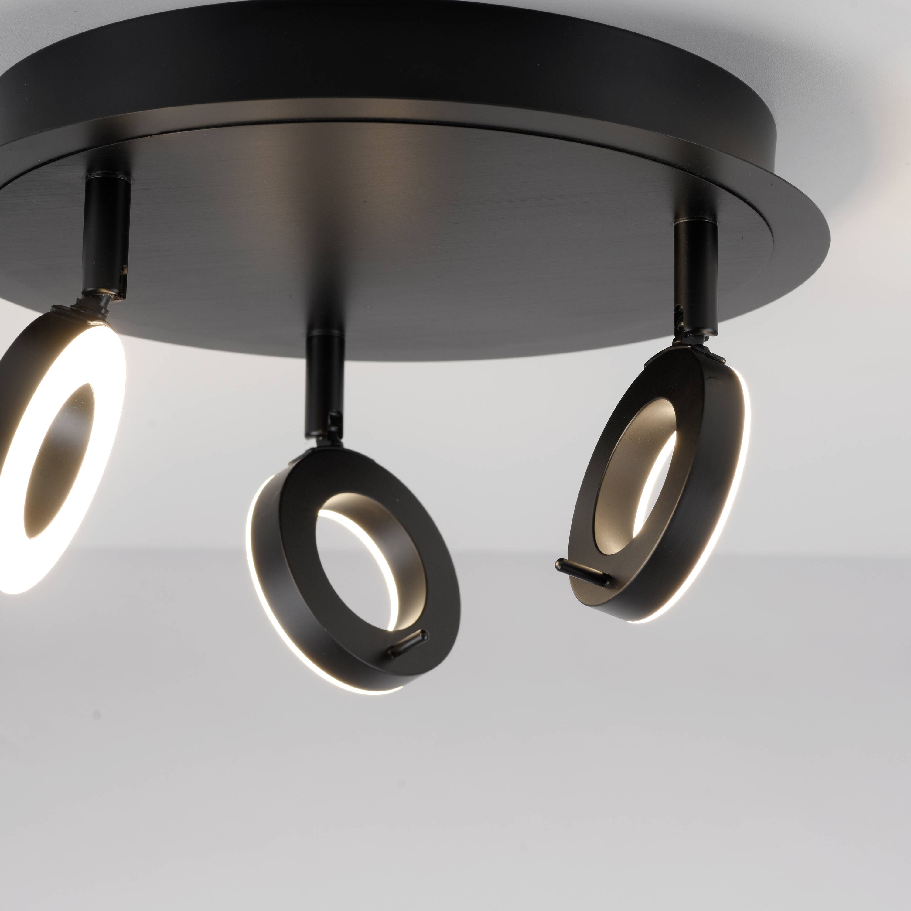 Paul Neuhaus 6788-13 LED-Deckenleuchte LED 19.2W Anthrazit