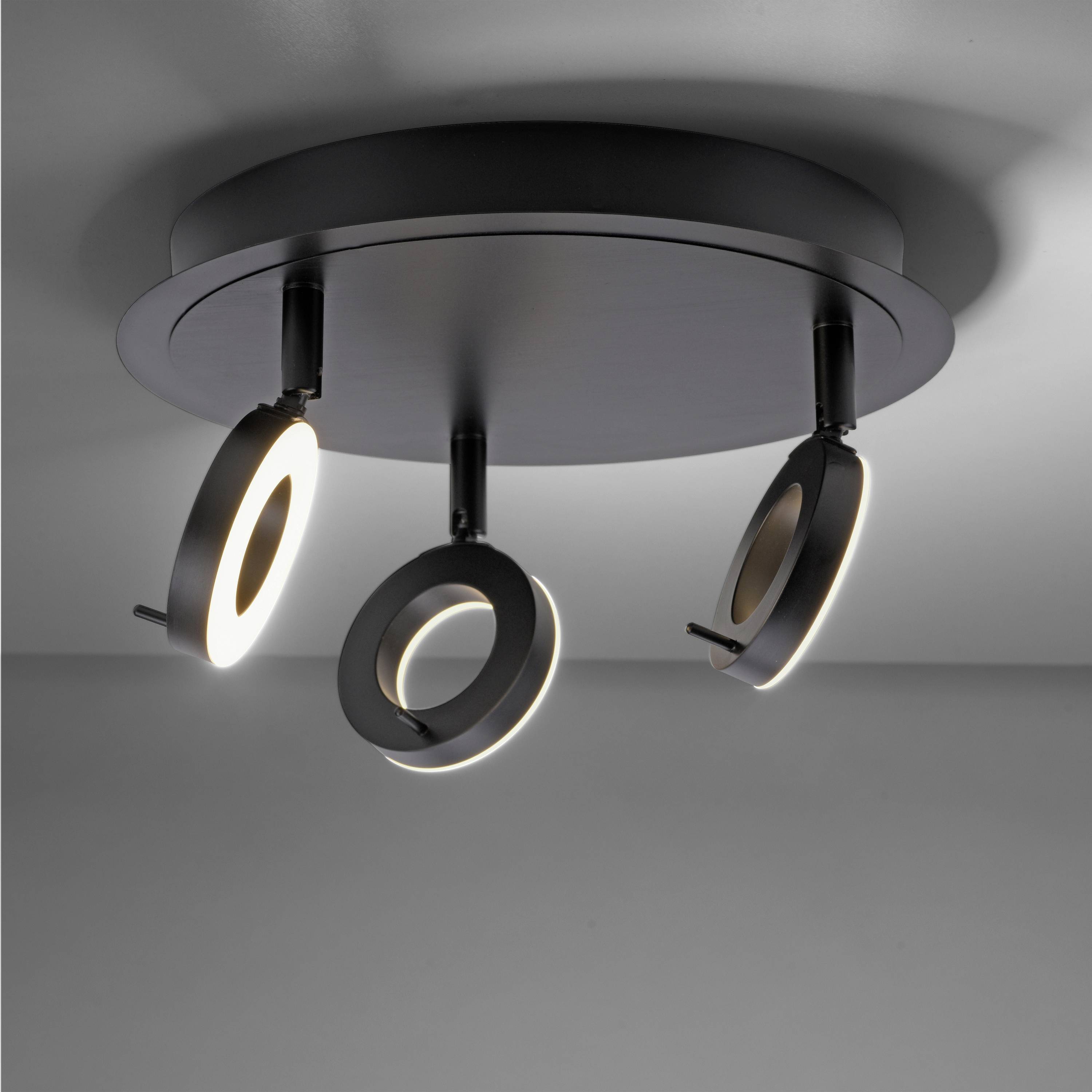 Paul Neuhaus 6788-13 LED-Deckenleuchte LED 19.2W Anthrazit