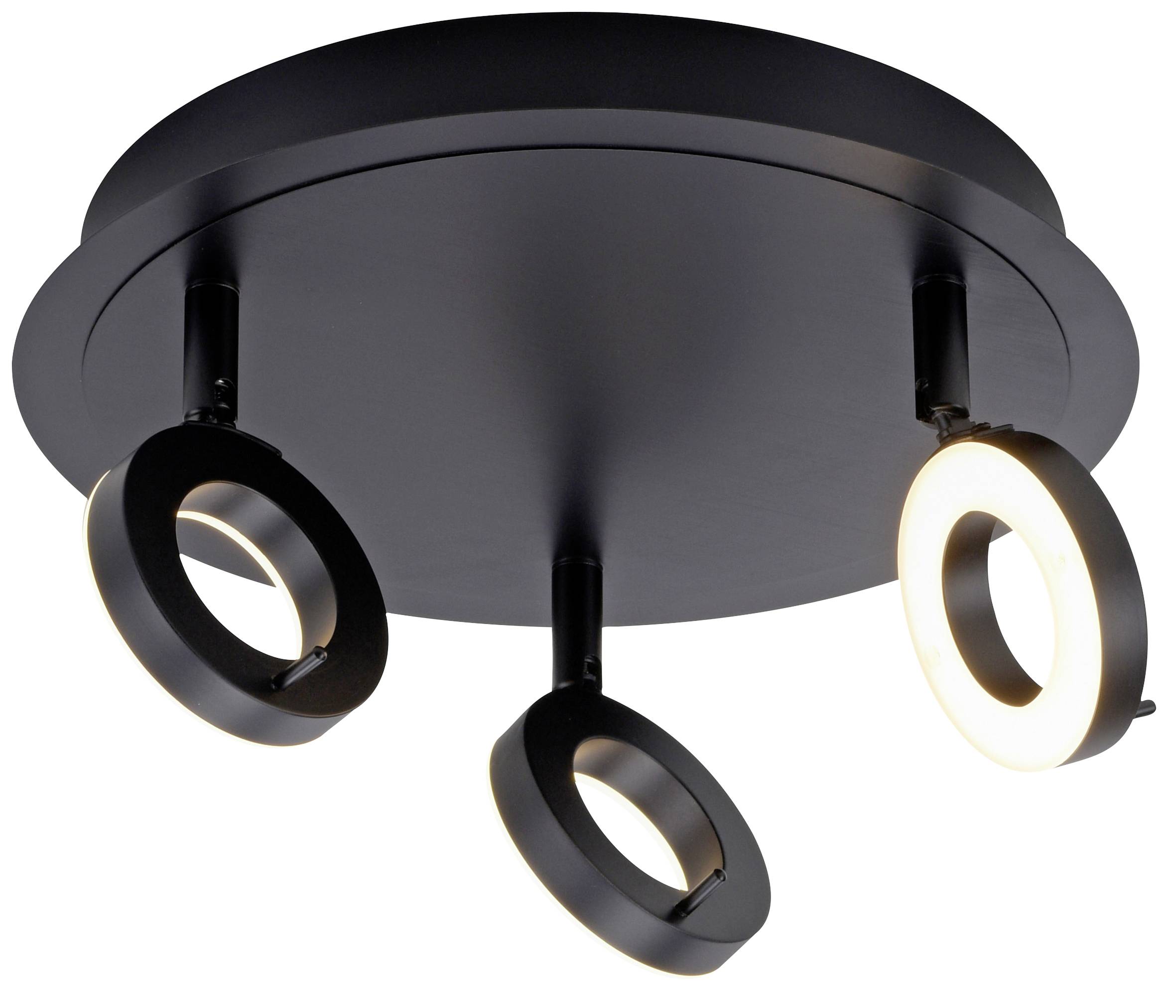 Paul Neuhaus 6788-13 LED-Deckenleuchte LED 19.2W Anthrazit