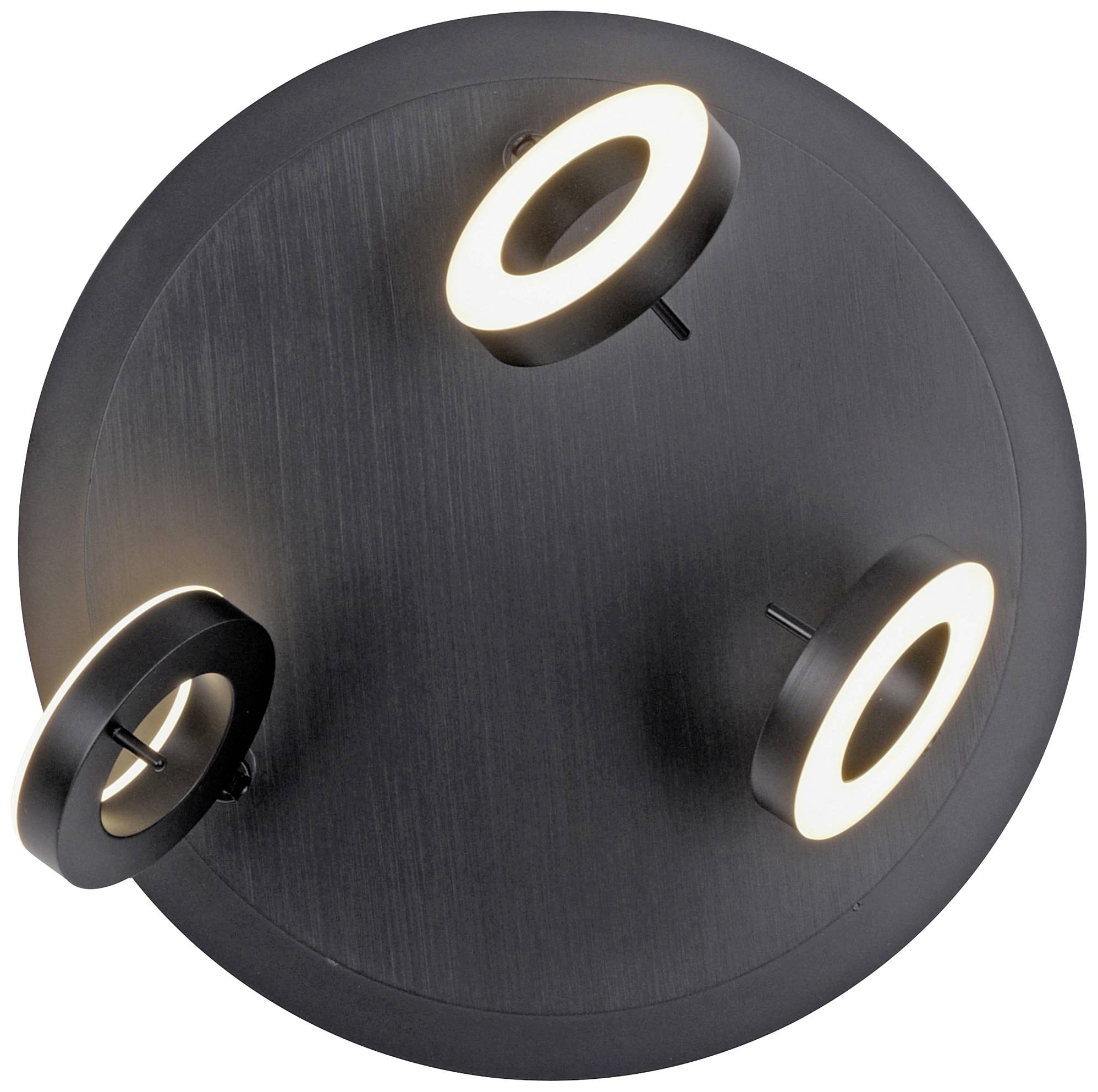 Paul Neuhaus 6788-13 LED-Deckenleuchte LED 19.2W Anthrazit