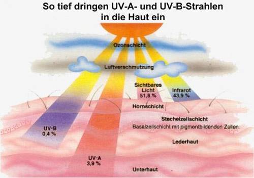Diagramm zeigt Eindringen von UV-A (94,7%) und UV-B (0,4%) Strahlen in Hautschichten; Sichtbares Licht 51,8%, Infrarot 43,9%.
