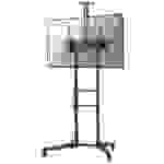 Neomounts FL50-550BL1 TV-Standfuß 94,0 cm (37") - 177,8 cm (70") Stand, Neigbar, Höhenverstellbar
