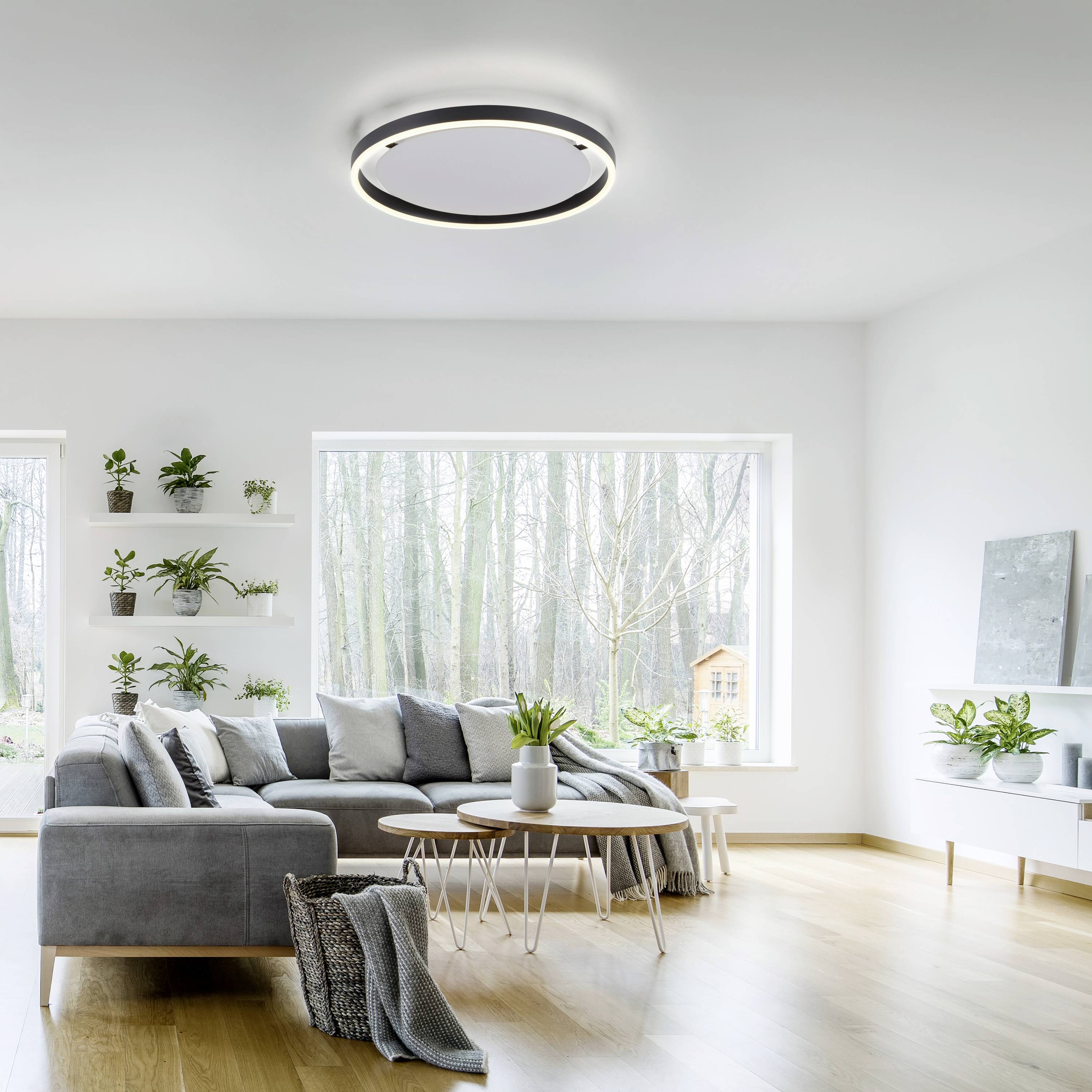 Just Light 15391-13 LED-Deckenleuchte LED 23.5W Anthrazit