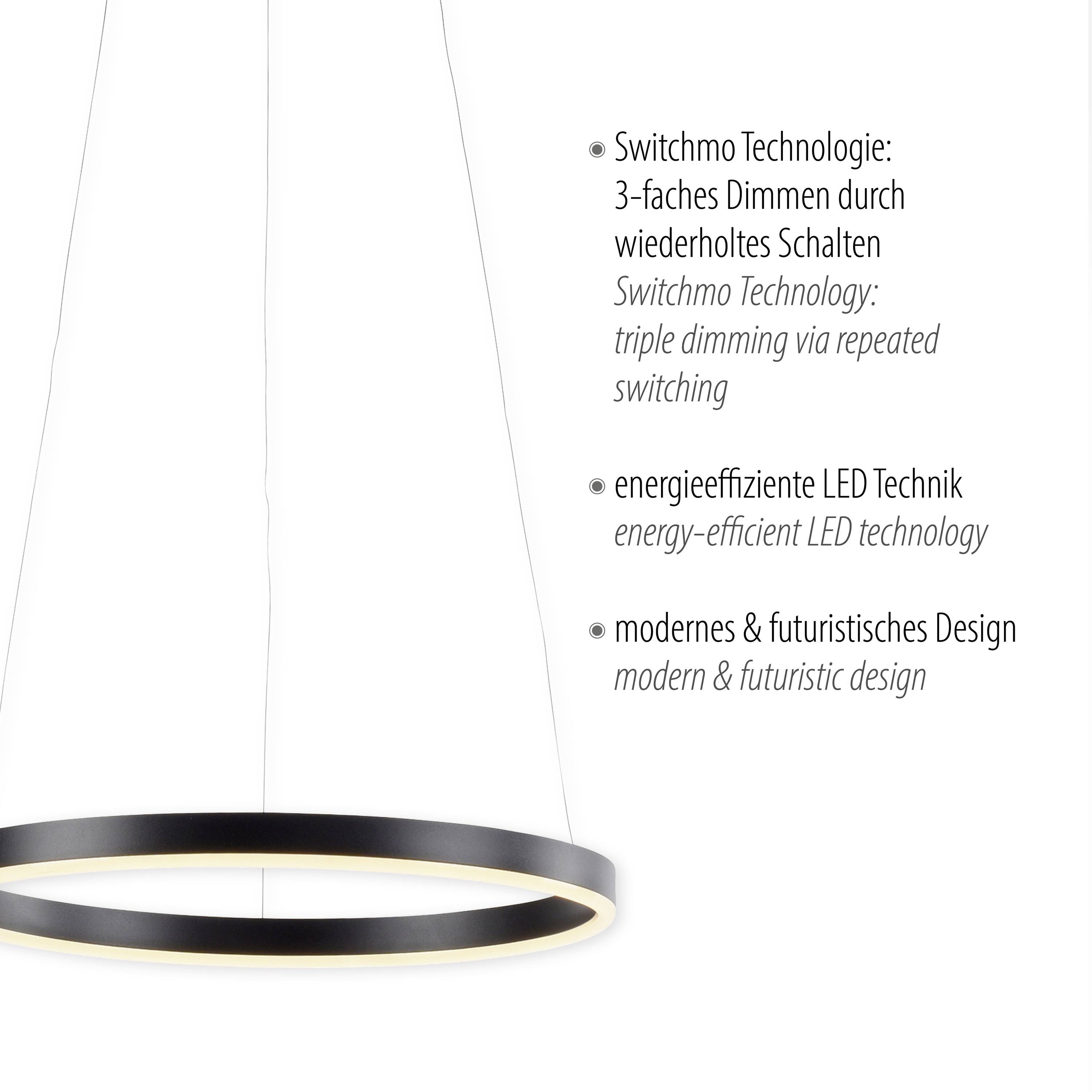 Just Light 15393-13 LED-Pendelleuchte LED 23.5W Anthrazit