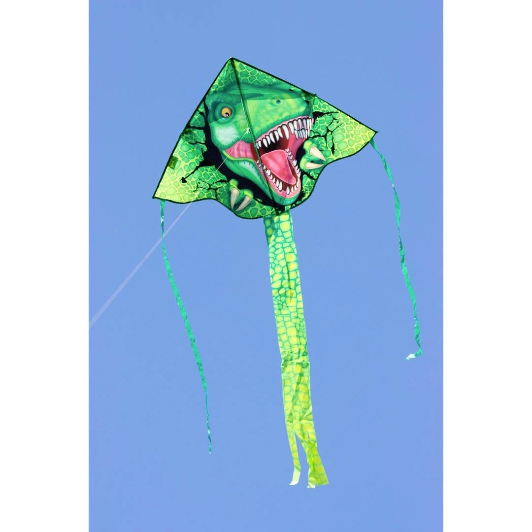 Ecoline Einleiner Drachen Simple Flyer T-Rex Spannweite (Details) 1200 mm Windstärken-Eignung 2 - 5