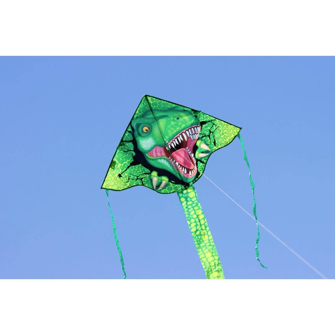 Ecoline Einleiner Drachen Simple Flyer T-Rex Spannweite (Details) 1200mm Windstärken-Eignung 2 - 5 bft