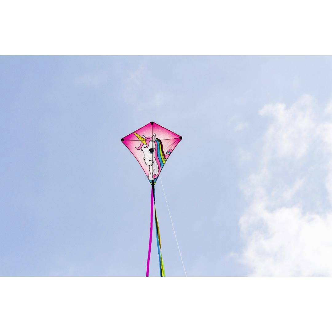 HQ Einleiner Drachen Eddy Unicorn Spannweite (Details) 680mm Windstärken-Eignung 2 - 5 bft