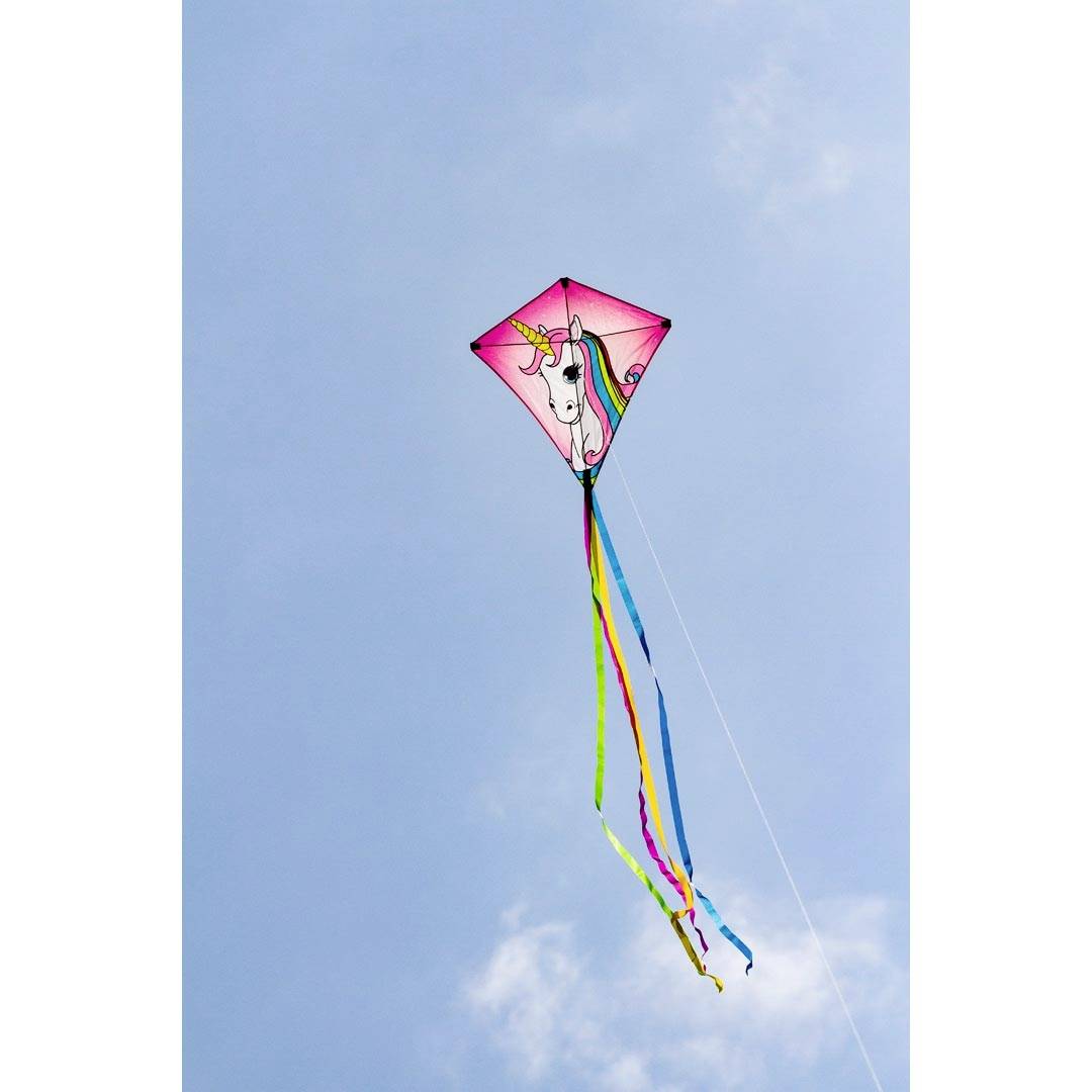 HQ Einleiner Drachen Eddy Unicorn Spannweite (Details) 680mm Windstärken-Eignung 2 - 5 bft