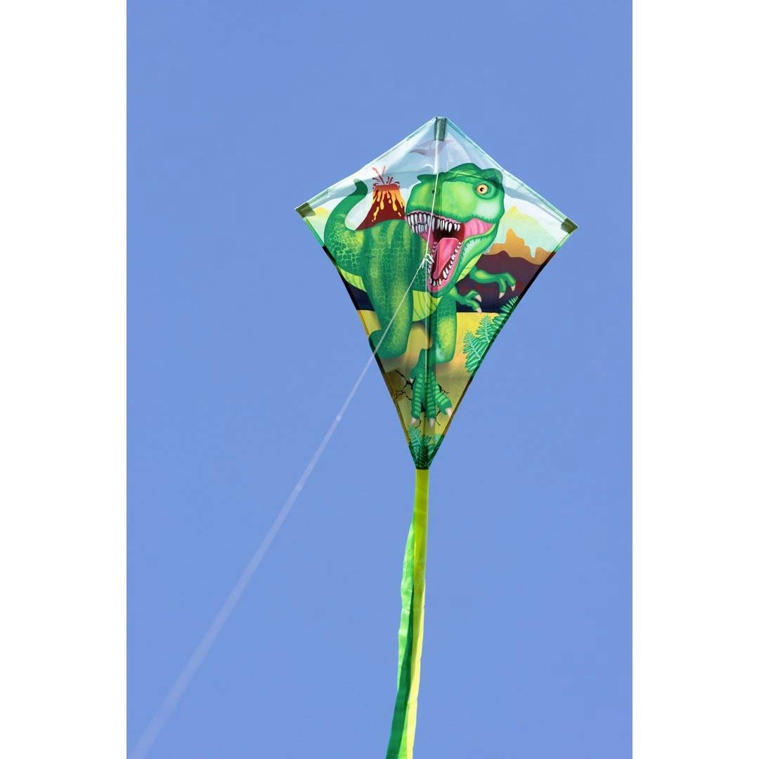 Ecoline Einleiner Drachen Eddy T-Rex Spannweite (Details) 700mm Windstärken-Eignung 2 - 5 bft