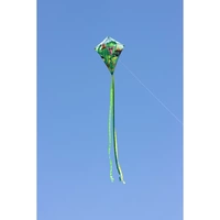 Ecoline Einleiner Drachen Eddy T-Rex Spannweite (Details) 700mm Windstärken-Eignung 2 - 5 bft Ecoline Einleiner Drachen Eddy T-Rex Spannweite (Details) 700mm Windstärken-Eignung 2 - 5 bft