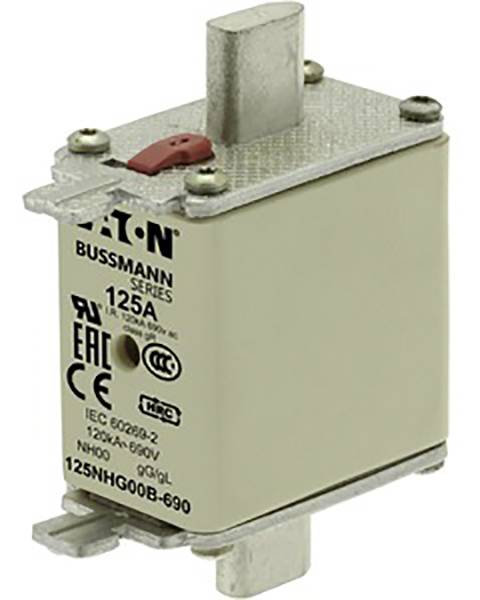 Sicherung der Bussmann-Serie 125A, 690V, mit gut sichtbaren Anschlüssen und Markenkennzeichnung.