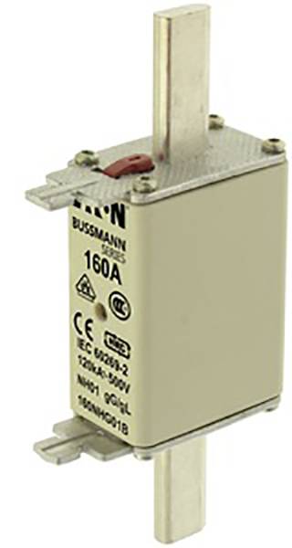 Ein sicherungselement mit der Beschriftung '160A'. Es enthält Symbole für elektrische Standards und Sicherheitshinweise.