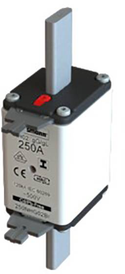 Sicherung mit der Aufschrift '250A', markiert mit Herstellerinformationen und technischen Symbolen, montiert in einer Halterung.