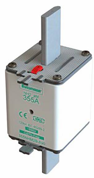 Sicherungsautomat 355A von Schneider Electric, Max. 1250 VAC, Modell aM. Enthält CE-Zeichen und Sicherheitszertifikate.