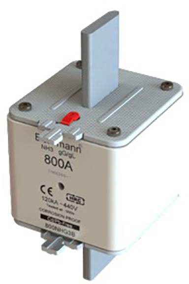 Ein elektrischer Sicherungseinsatz mit der Aufschrift '800A', montiert an einem Halter.