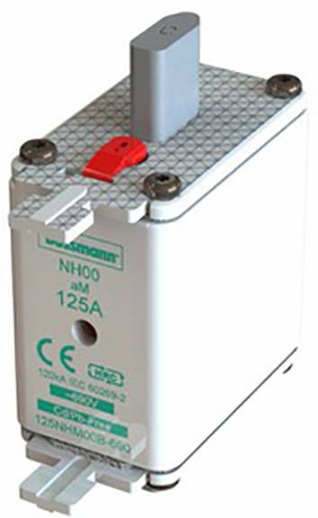 Ein NH-Sicherungseinsatz, Typ NH00, 125A, mit CE-Kennzeichnung. Das Gehäuse ist weiß mit einem grauen Griff und roten Details.
