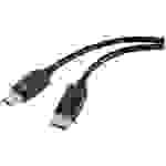Renkforce DisplayPort Anschlusskabel DisplayPort Stecker, DisplayPort Stecker 1.00 m Schwarz RF-524