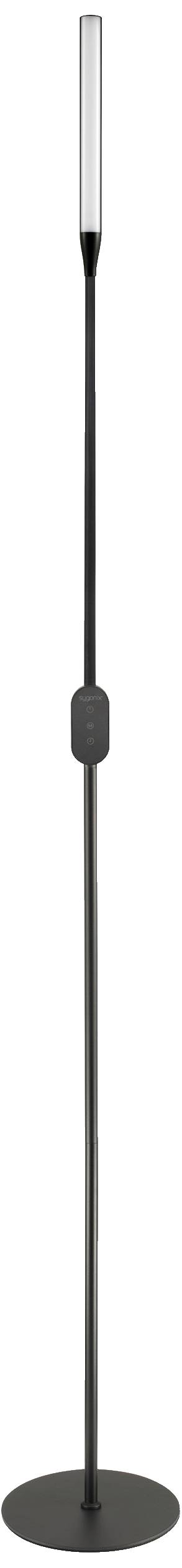 Schmale, moderne Stehlampe mit schwarzem Stab und rundem Fuß. Oben durchsichtiger, länglicher Lampenschirm.