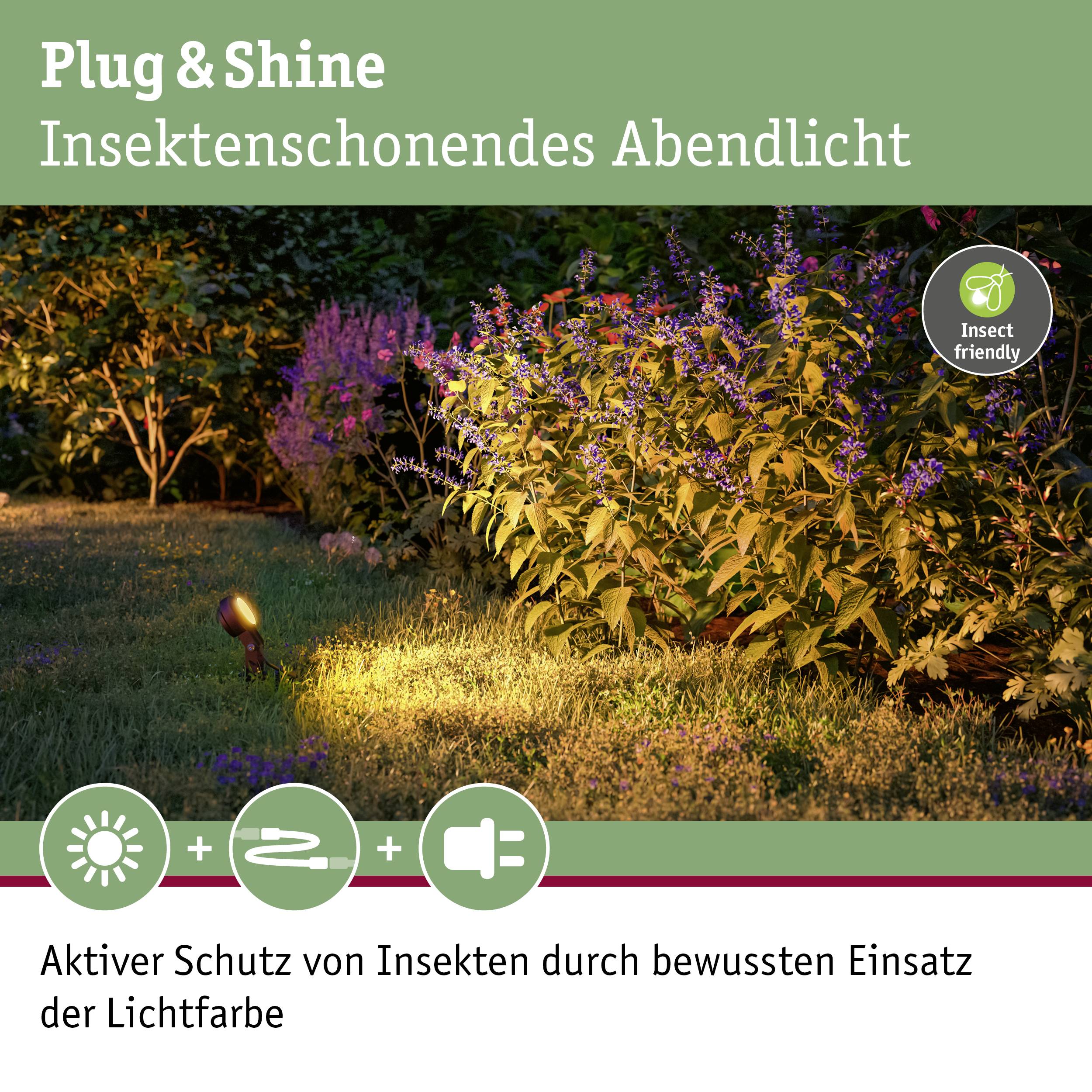Paulmann P+S Spot Sting 2200K 94728 Beleuchtungssystem Plug & Shine LED-Gartenstrahler-Erweiterung LED 6.3W Gold Anthrazit