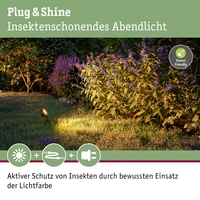 Paulmann P+S Spot Sting 2200K 94728 Beleuchtungssystem Plug & Shine LED-Gartenstrahler-Erweiterung LED 6.3W Gold Anthrazit Paulmann P+S Spot Sting 2200K 94728 Beleuchtungssystem Plug & Shine LED-Gartenstrahler-Erweiterung LED 6.3W Gold Anthrazit