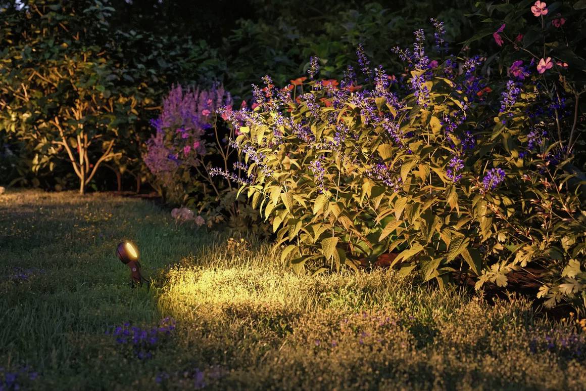 Paulmann P+S Spot Sting 2200K 94728 Beleuchtungssystem Plug & Shine LED-Gartenstrahler-Erweiterung LED 6.3W Gold Anthrazit