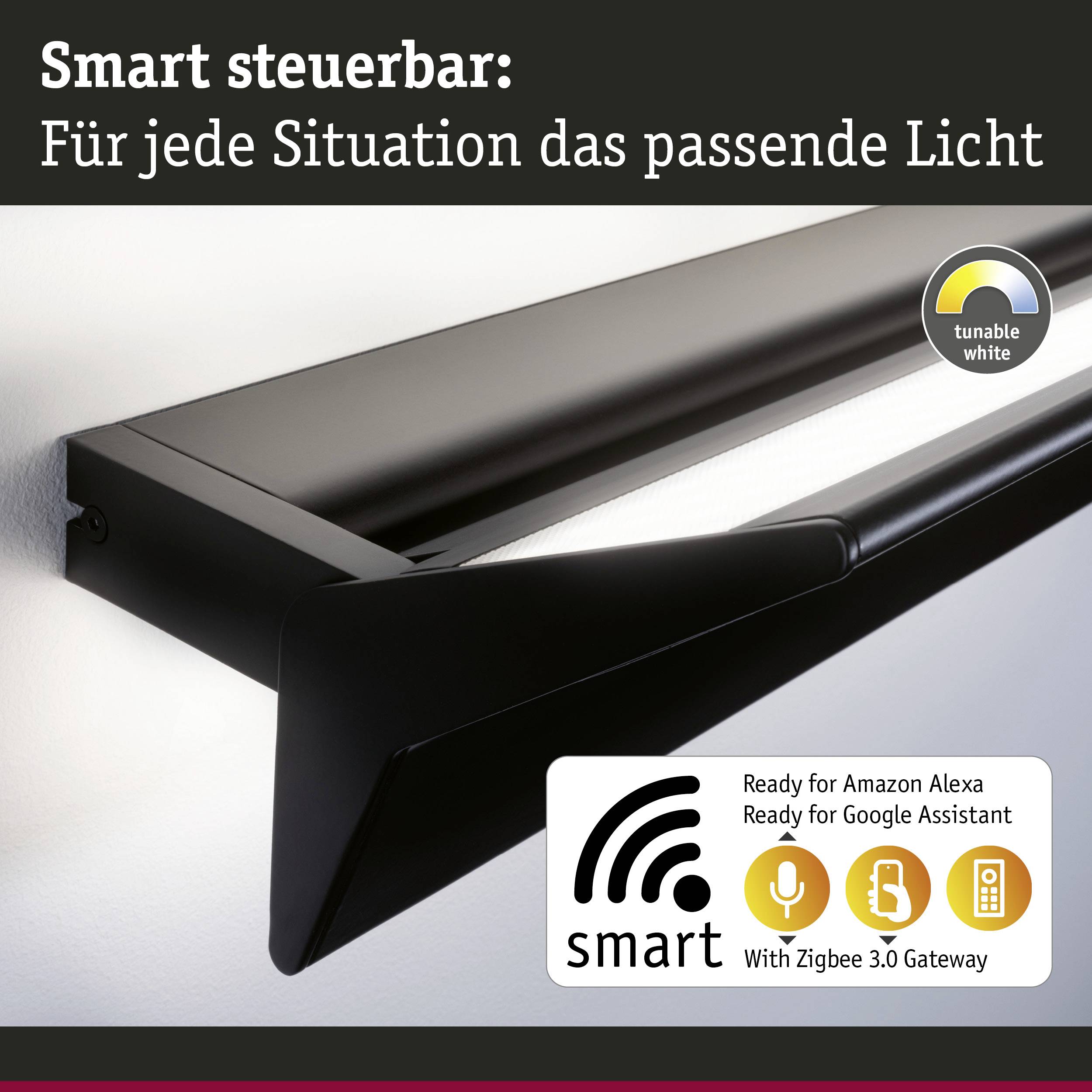 Paulmann Stine 79511 Wandleuchte 13W LED Schwarz (matt)