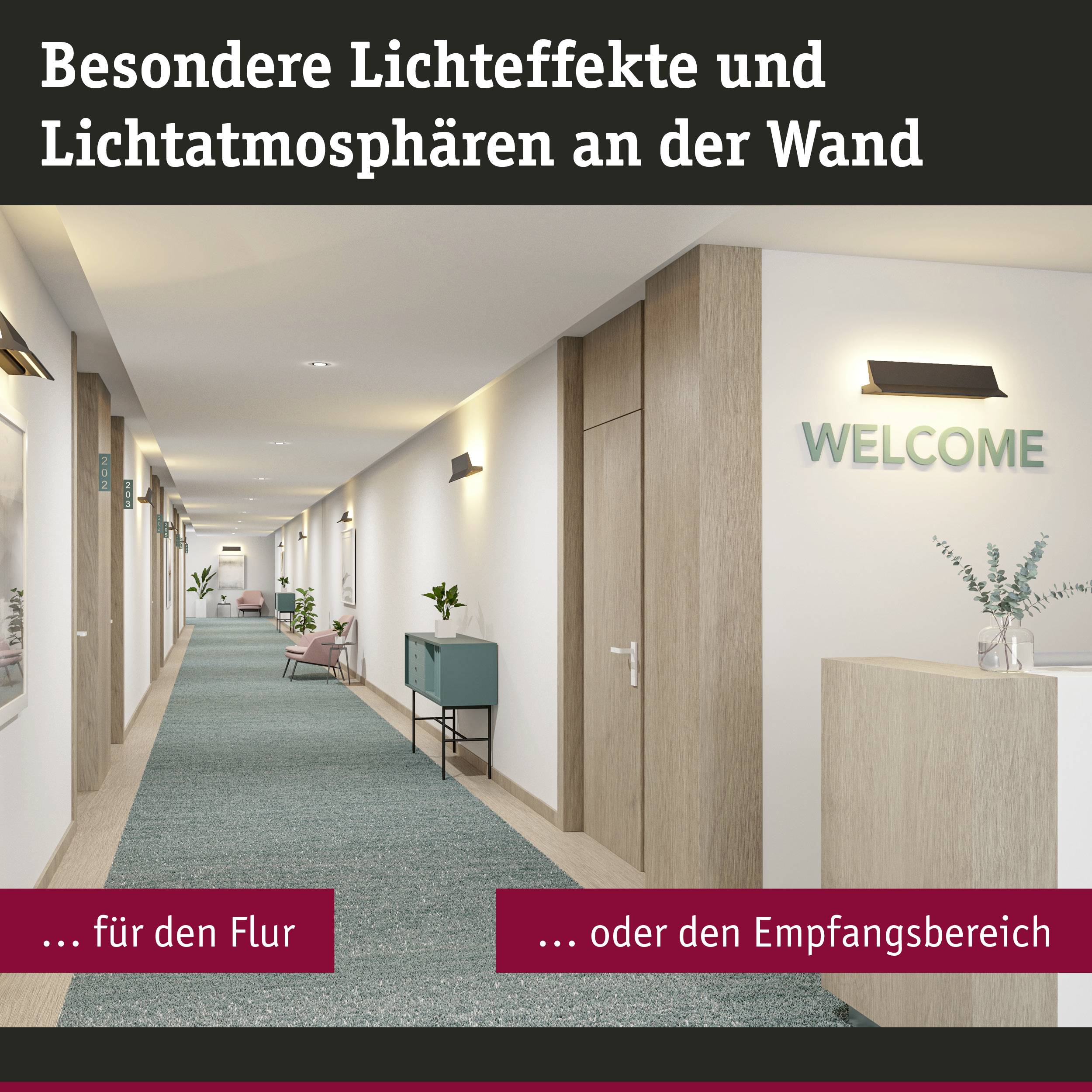 Paulmann Stine 79511 Wandleuchte 13W LED Schwarz (matt)