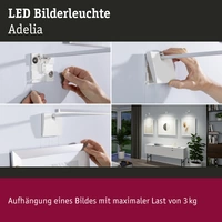Paulmann Adelia 95574 LED-Bilderleuchte 4.5W LED Aluminium (gebürstet) Paulmann Adelia 95574 LED-Bilderleuchte 4.5W LED Aluminium (gebürstet)