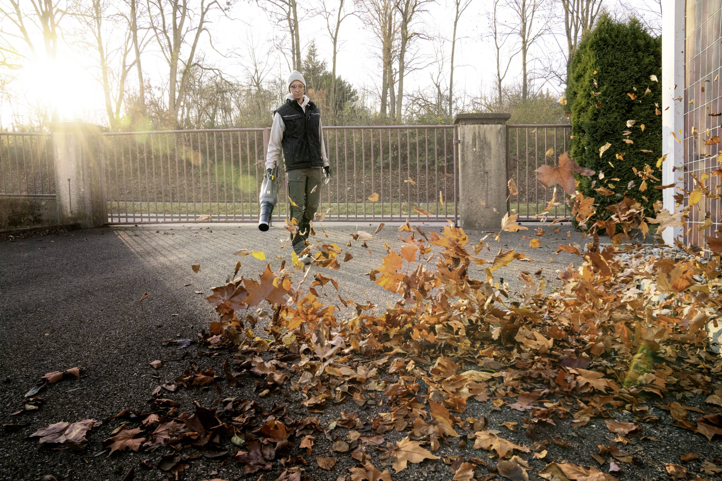 Person bläst mit Laubbläser Herbstblätter auf einer Einfahrt weg, Sonnenstrahlen im Hintergrund.