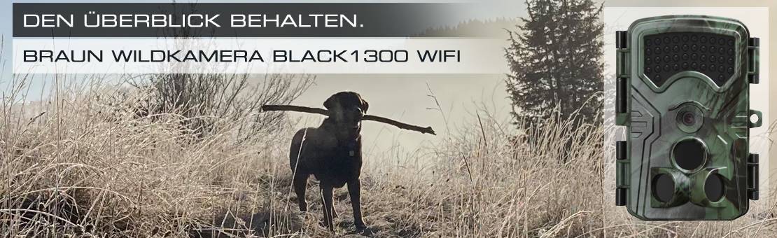 Braun Germany Wildkamera 13 Megapixel WLAN, Tonaufzeichnung, Zeitrafferfunktion Grün