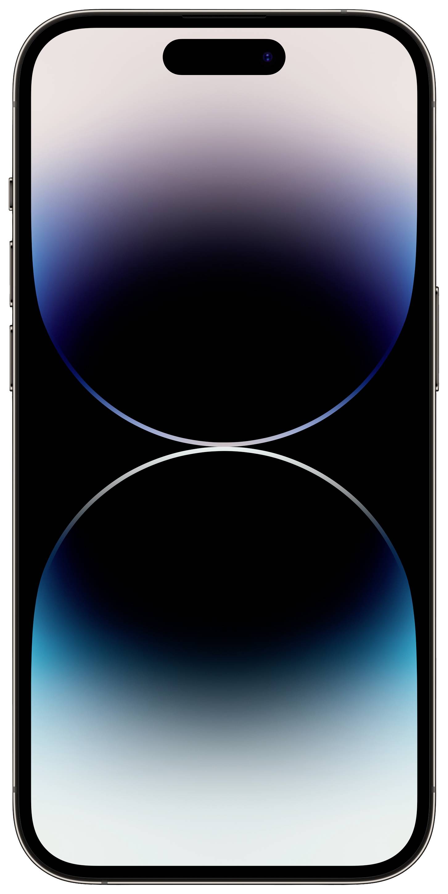 Apple iPhone 14 Pro Space Schwarz 256 GB 15.5 cm (6.1 Zoll)