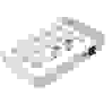 Mackie M-Caster Live (White) 2x Powermixer USB-Anschluss