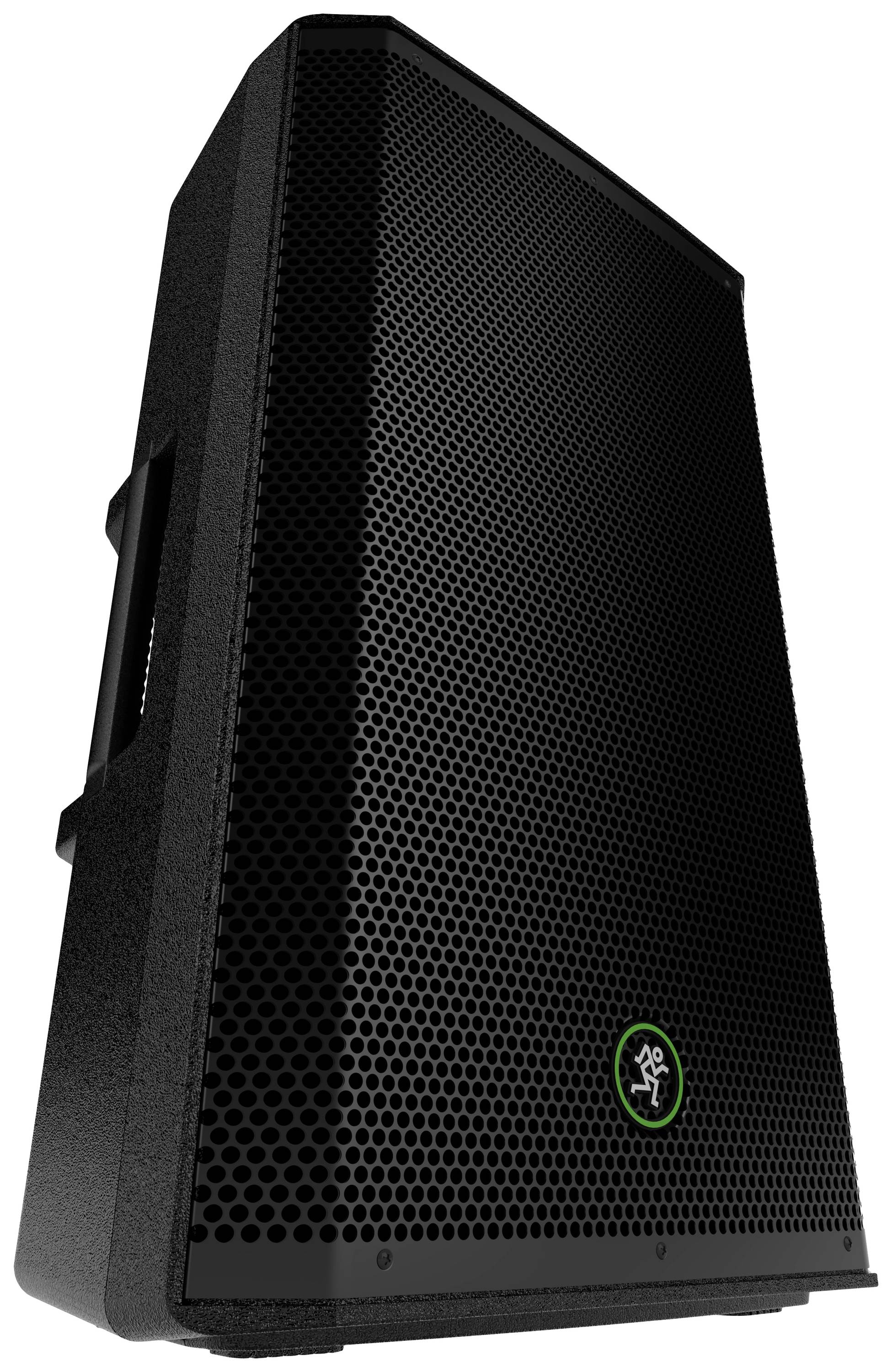Schwarzer Lautsprecher mit Logo und Tragegriff, leicht angewinkelt. Hochwertiges Modell für klare Klangwiedergabe.