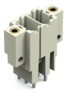 WAGO Stiftleiste (Standard) Polzahl Gesamt 2 Rastermaß: 7.62mm 831-3602/108-000 48St.