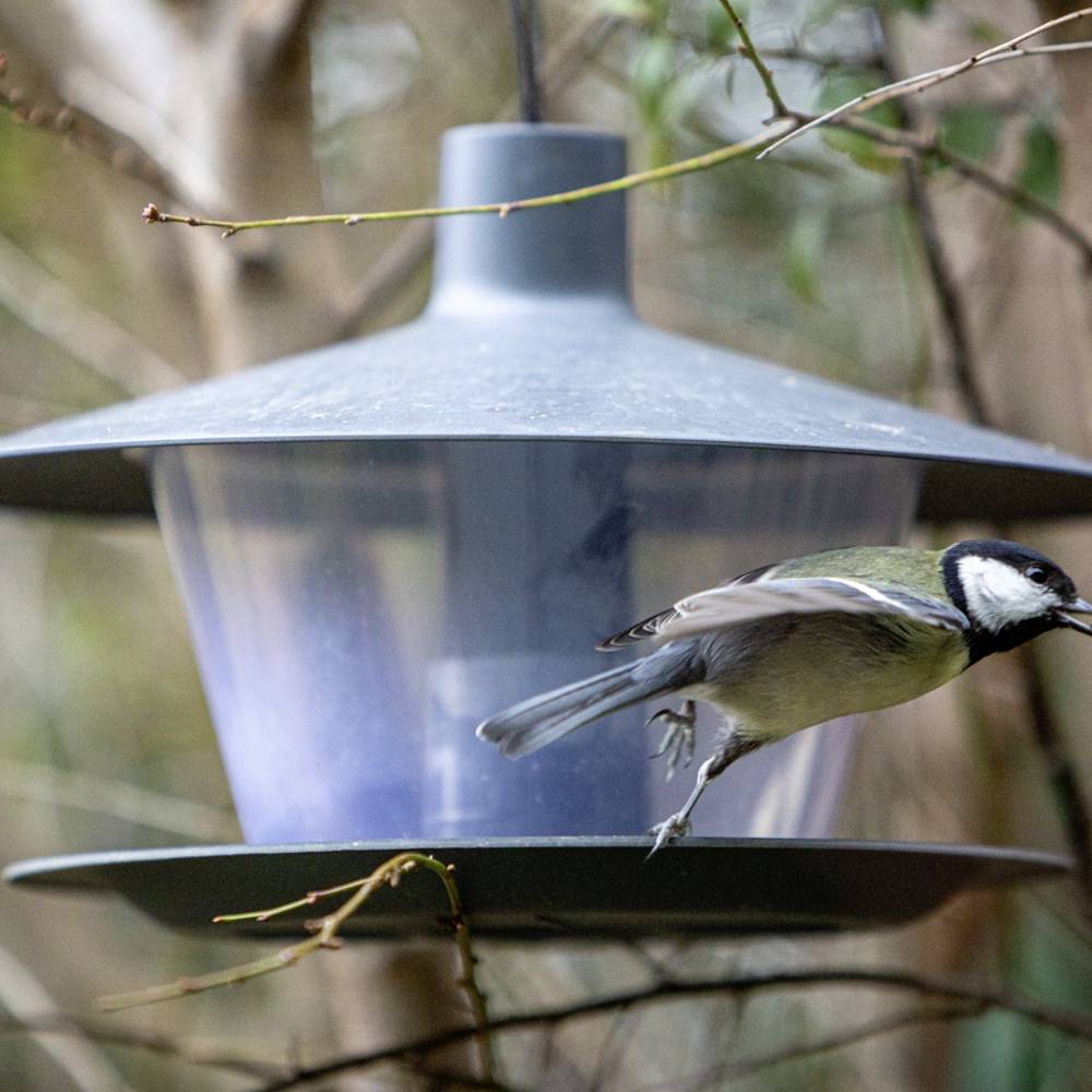 Plastia 1606970115 Vogelfutterhaus Finch anthrazit 1St.