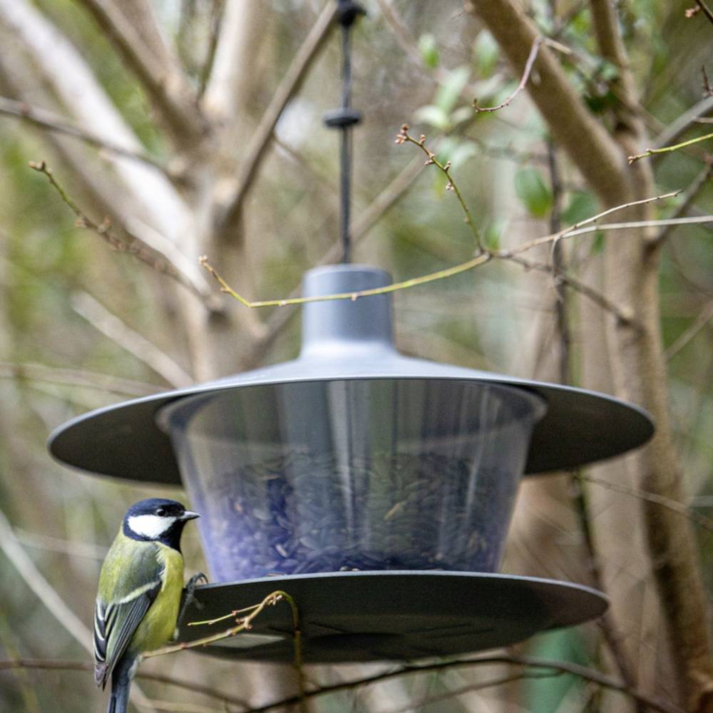 Plastia 1606970115 Vogelfutterhaus Finch anthrazit 1St.